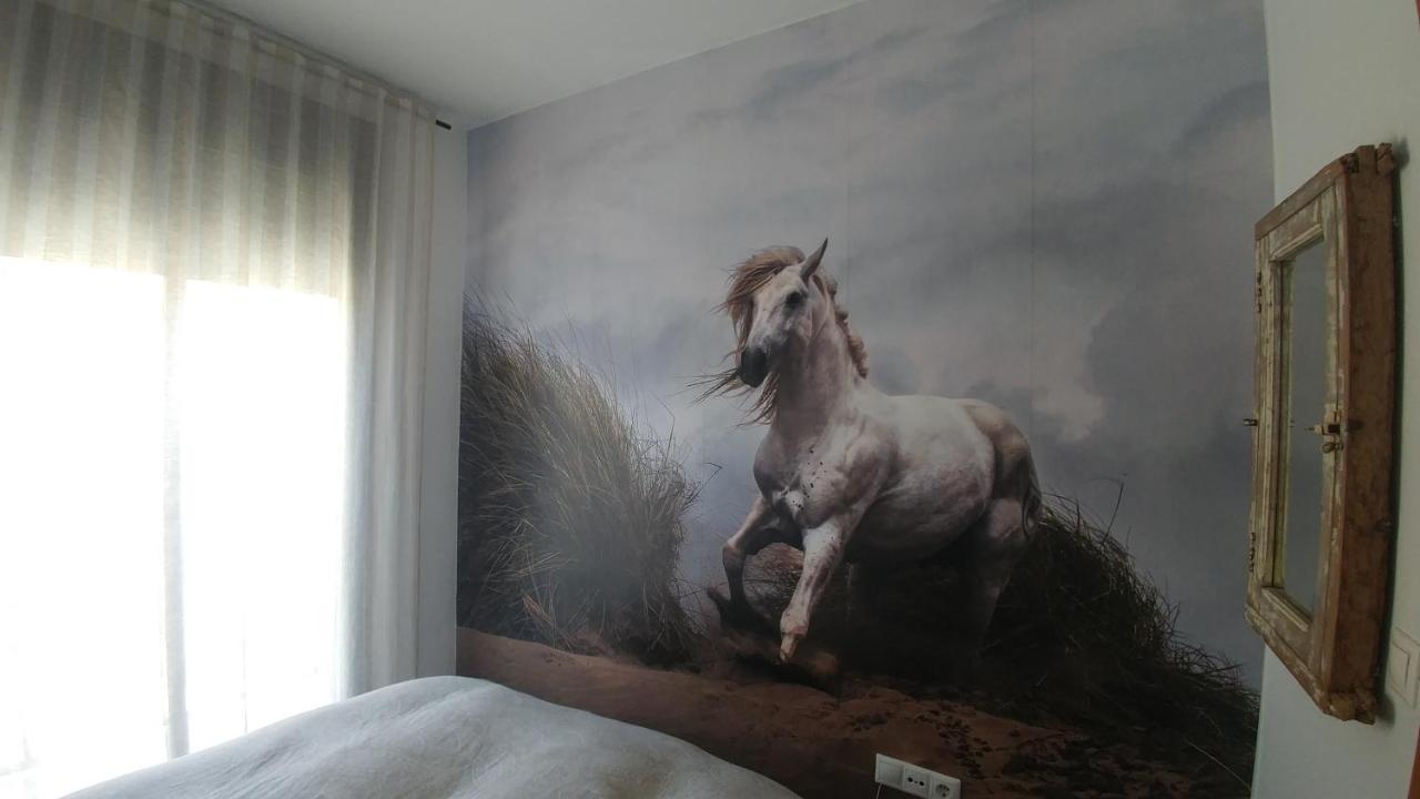 Apartamento Jerez Terraza Privada 헤레스 외부 사진